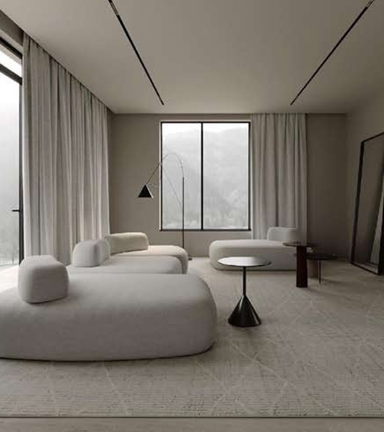 Refined Living Area Interior