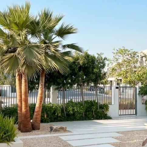 Luxury Villa Interior and Landscape